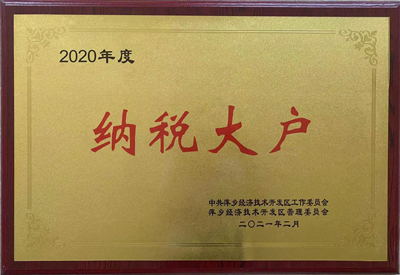 2020年納稅大戶(hù)